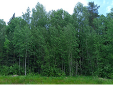 20250531 ������-400 ���������� 121859.jpg