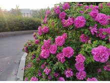 IMG 20250603 190059.jpg