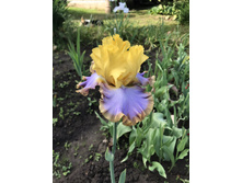 ����� � �����  200 ���