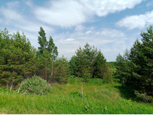 20250531 ������-400 ���������� 125930.jpg