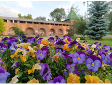 IMG 20250603 190150.jpg