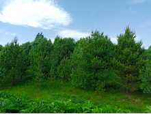 20250531 ������-400 ���������� 131223.jpg