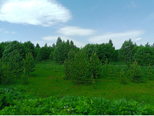 20250531 ������-400 ���������� 131211.jpg