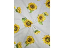 ������� ����������.���� 240 ���.+�������