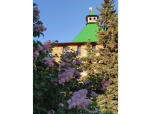 IMG 20250527 182622.jpg