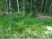 20250531 ������-400 ���������� 133550.jpg