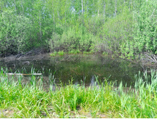 20250531 ������-400 ���������� 133921.jpg