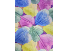 ���.����