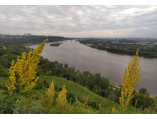 IMG 20250629 192055.jpg