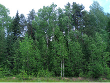 20250531 ������-400 ���������� 121851.jpg