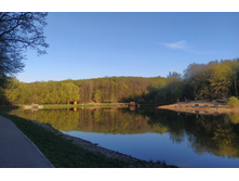 IMG 20250424 180550.jpg