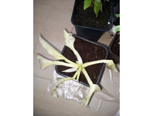 Photo 2025-06-04 17-18-39.jpg