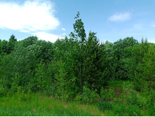 20250531 ������-400 ���������� 131456.jpg