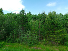 20250531 ������-400 ���������� 131504.jpg