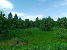 20250531 ������-400 ���������� 131215.jpg