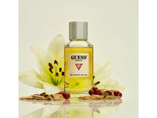 Type 2: Red Currant & Balsam Guess 100��