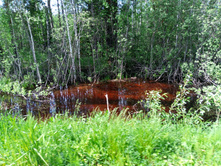 20250531 ������-400 ���������� 133927.jpg