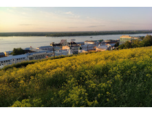 IMG 20250604 200630.jpg