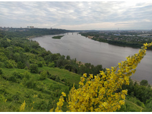 IMG 20250629 192111.jpg