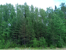 20250531 ������-400 ���������� 121936.jpg