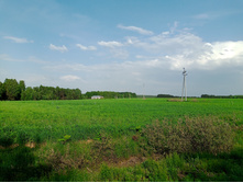 20250531 ������-400 ���������� 161721.jpg