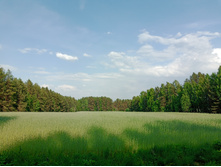 20250531 ������-400 ���������� 161410.jpg