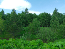 20250531 ������-400 ���������� 131231.jpg