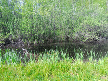 20250531 ������-400 ���������� 133922.jpg