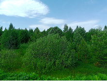 20250531 ������-400 ���������� 131214.jpg