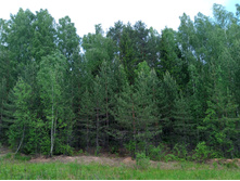 20250531 ������-400 ���������� 121929.jpg