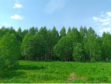 20250531 ������-400 ���������� 143916.jpg