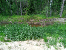 20250531 ������-400 ���������� 133551.jpg