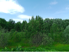 20250531 ������-400 ���������� 131225.jpg