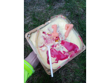 20250531 ������-400 ���������� 183007.jpg