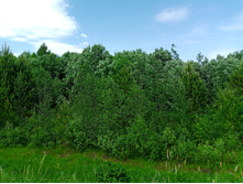 20250531 ������-400 ���������� 131502.jpg