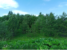 20250531 ������-400 ���������� 131224.jpg