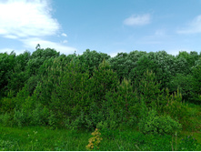 20250531 ������-400 ���������� 131450.jpg