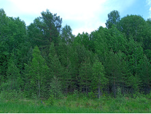 20250531 ������-400 ���������� 121909.jpg