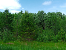 20250531 ������-400 ���������� 131503.jpg