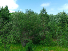 20250531 ������-400 ���������� 131505.jpg