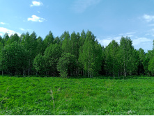 20250531 ������-400 ���������� 143915.jpg