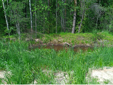 20250531 ������-400 ���������� 133552.jpg