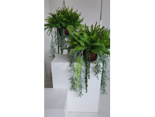 IMG 20250616 160941 749.jpg