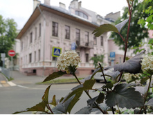 IMG 20250603 174546.jpg