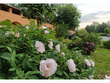 IMG 20250603 185851.jpg