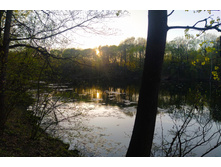 IMG 20250424 182847.jpg