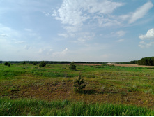 20250531 ������-400 ���������� 165254.jpg