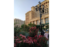 IMG 20250616 194512.jpg