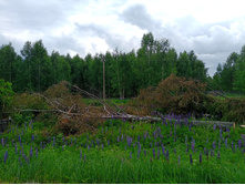 20250613 ������-600 ���������� 114949.jpg