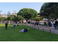 IMG 20250615 180456.jpg